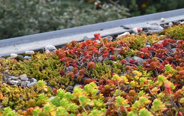 the cost of Holsworthy Beacon green roof installation